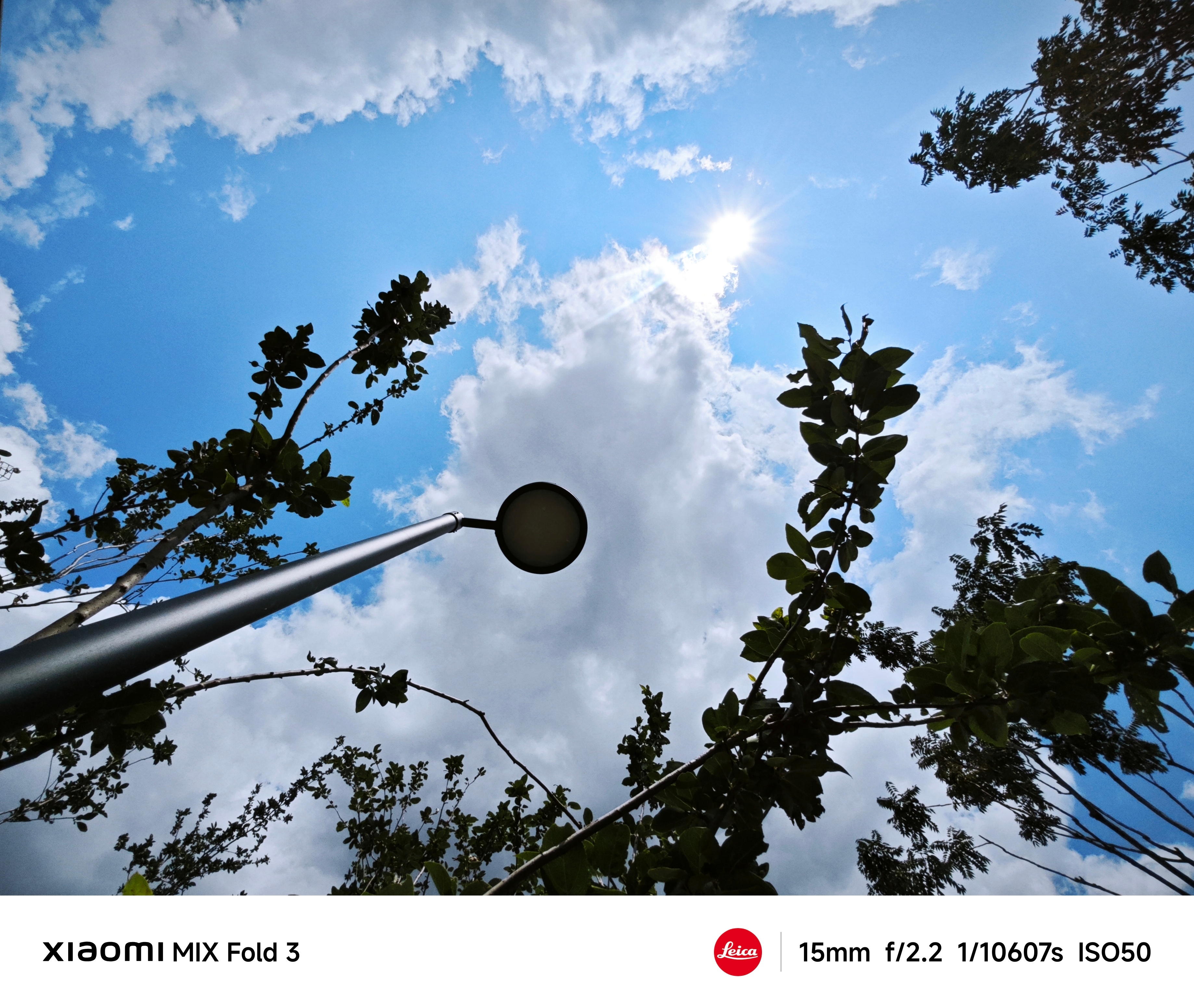 拍够一千张就换真徕卡 【306/1000】小米徕卡影像大赛 ​​​