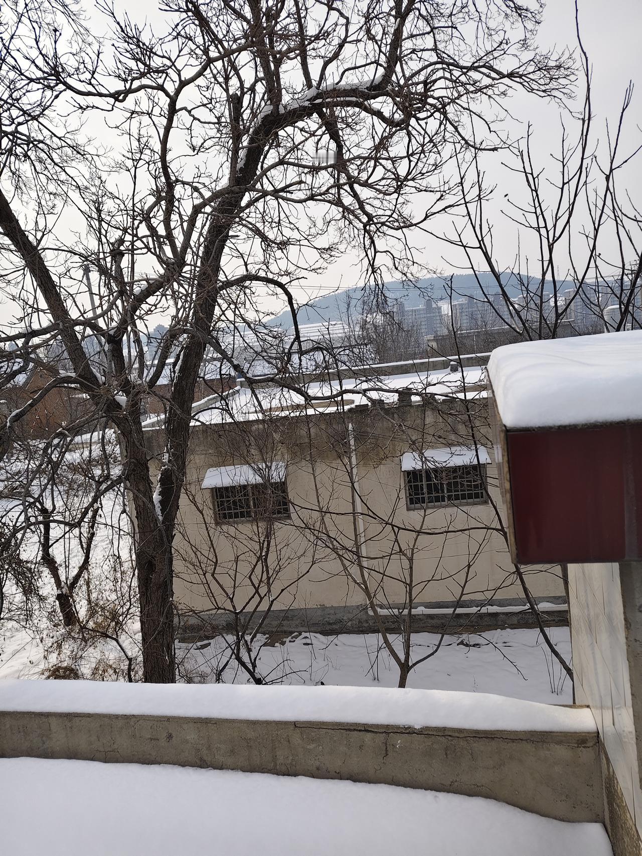 今年冬天的不同