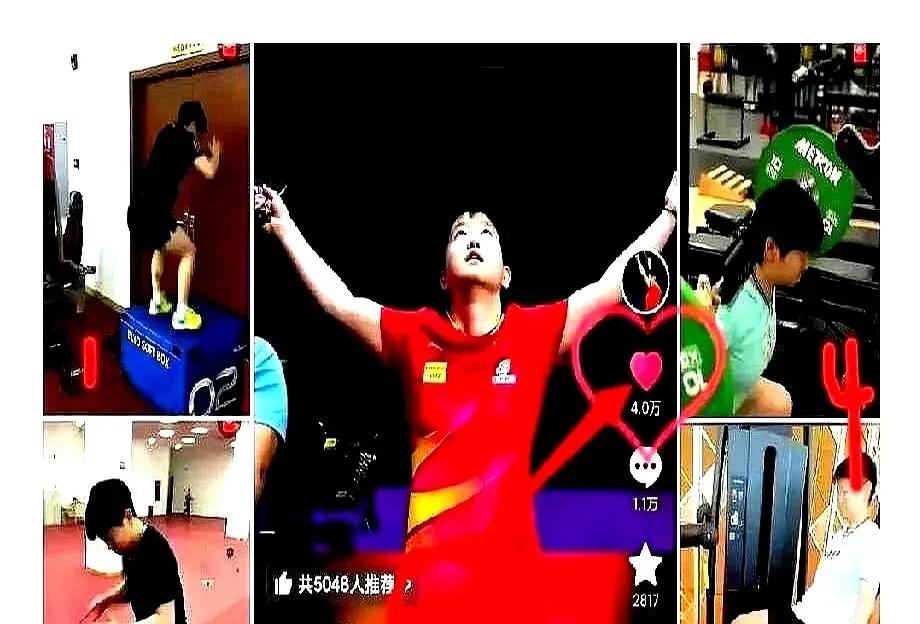 你是风来你是光
是你照亮了石家庄
太行山麓石头城
因为莎莎出了名～

古时有个赵