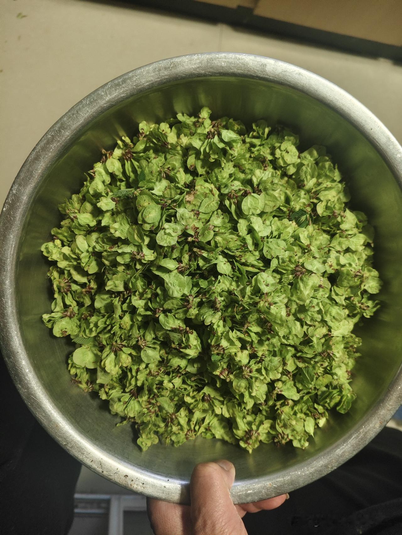 这段时间，无论我白天笑的多么灿烂，待人接物多么的与人和善，工作多高的热情。

但