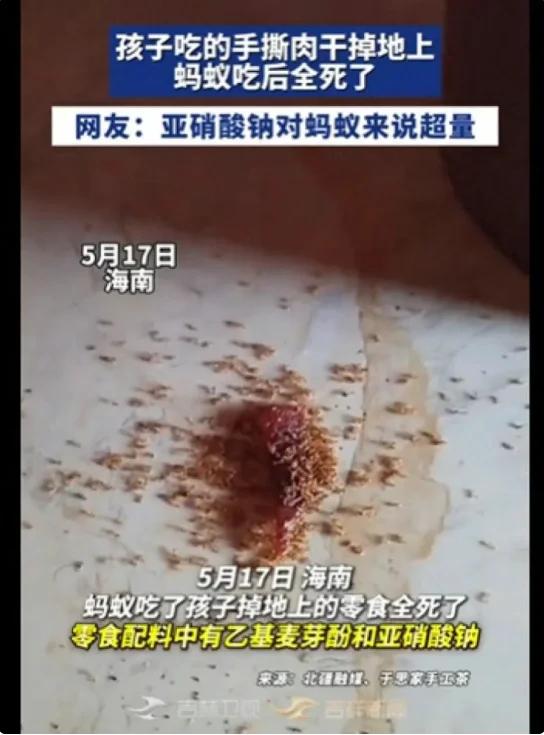 海南男孩吃的手撕肉干零食碎渣掉在地面，蚂蚁群吃完毙命。零食配料表含乙基麦芽酚（增