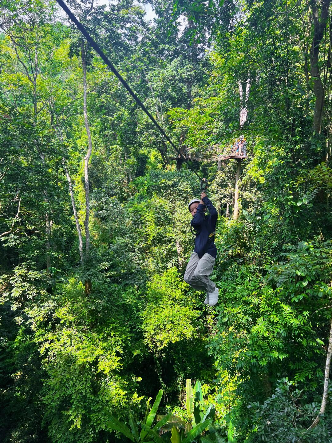 西双版纳｜带娃来原始森林公园挑战丛林飞跃