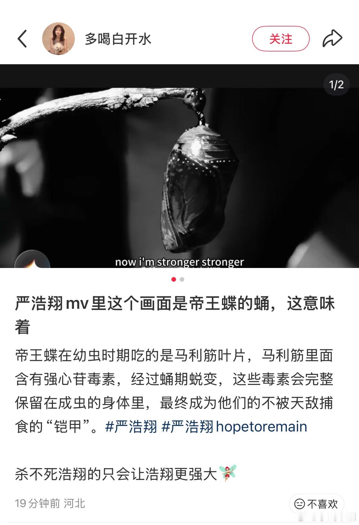 “杀不死我的，只会使我更强大”配上歌词“now I'm stronger str