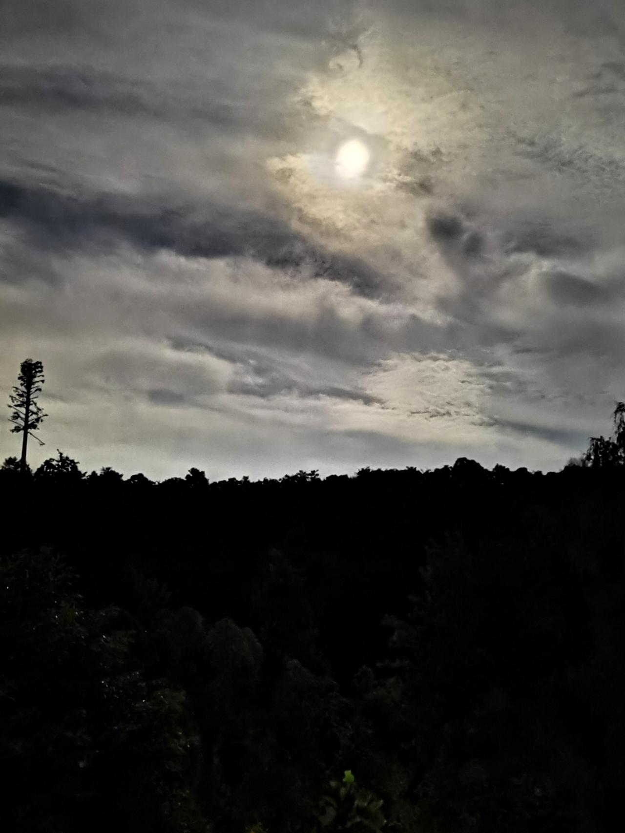 上联：夜静琴声远，
下联：山空月色柔。
 
赏析：
夜静对山空，环境相映；琴声远