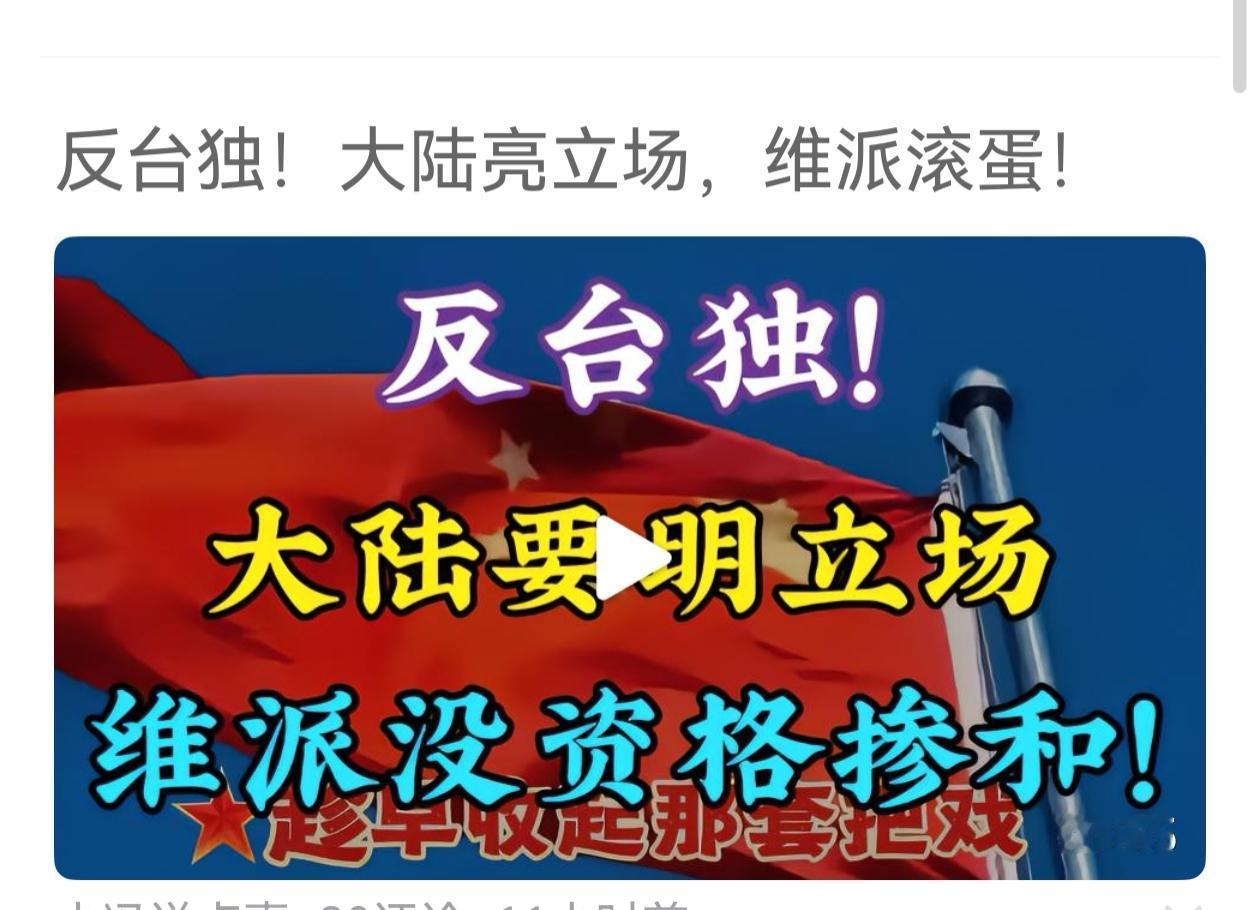 什么叫维派？什么叫维持现状，什么意思？是打太极？维持什么现状？如果是维护祖国统一