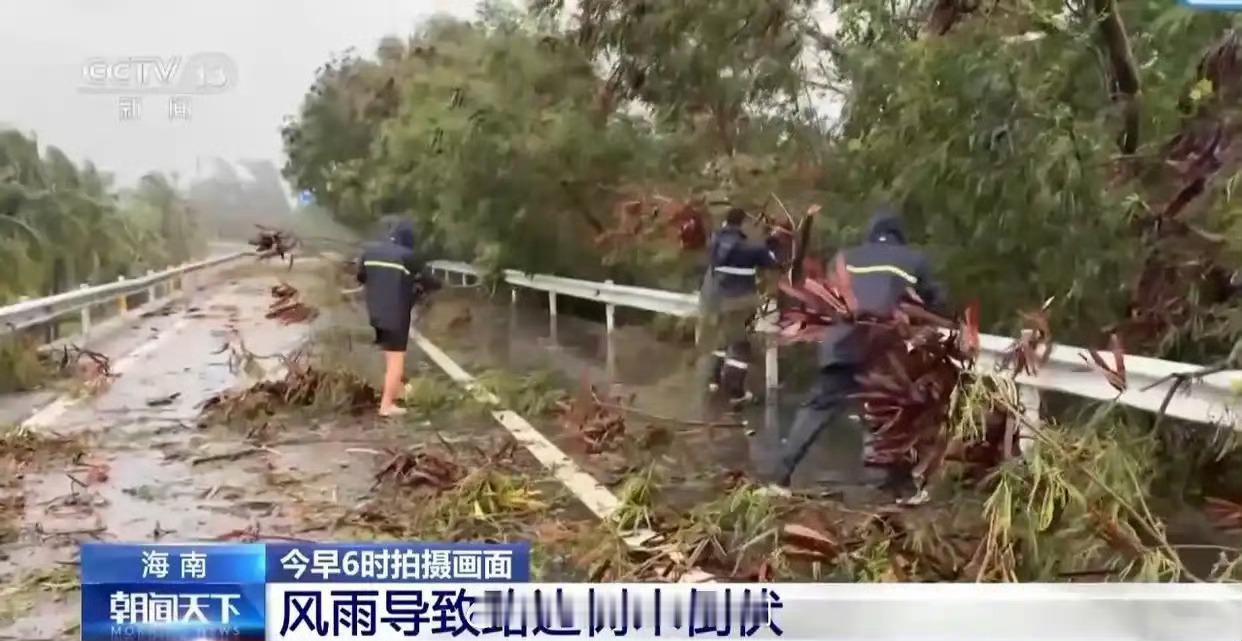 湛江全市停课 看着挺吓人的，雨虽小但风挺大，树都吹断了，感觉人都容易被风吹走[允