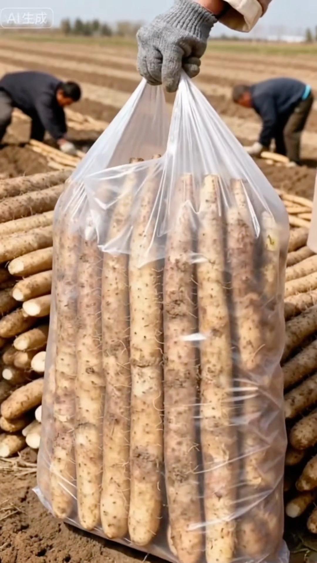 正宗铁棍山药现挖现发，口感粉糯香甜，无论是蒸煮还是煲汤好吃又营养