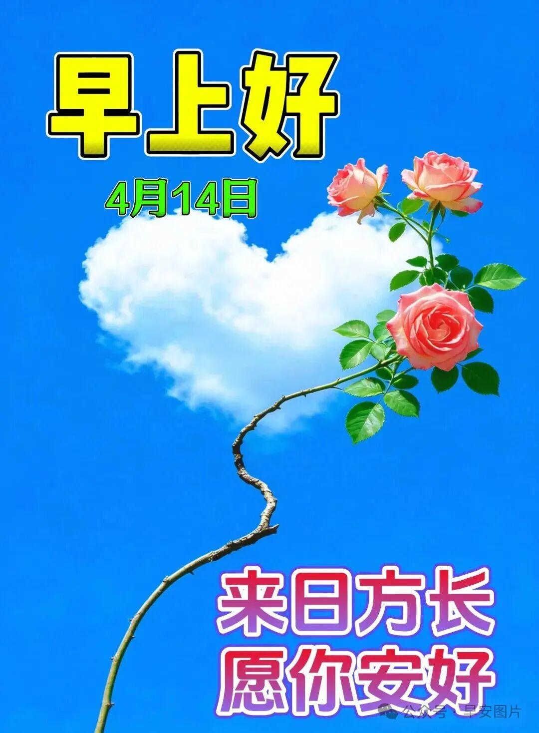 一杯好茶，久久回味；一位好友，永久珍惜；一句问候，发自心底；感恩人生路上美好的相