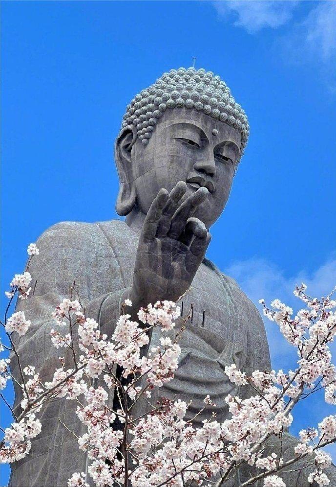 6月不宜的日子有：1、7、8、9（申时前）、14、15、20、21、27、28、