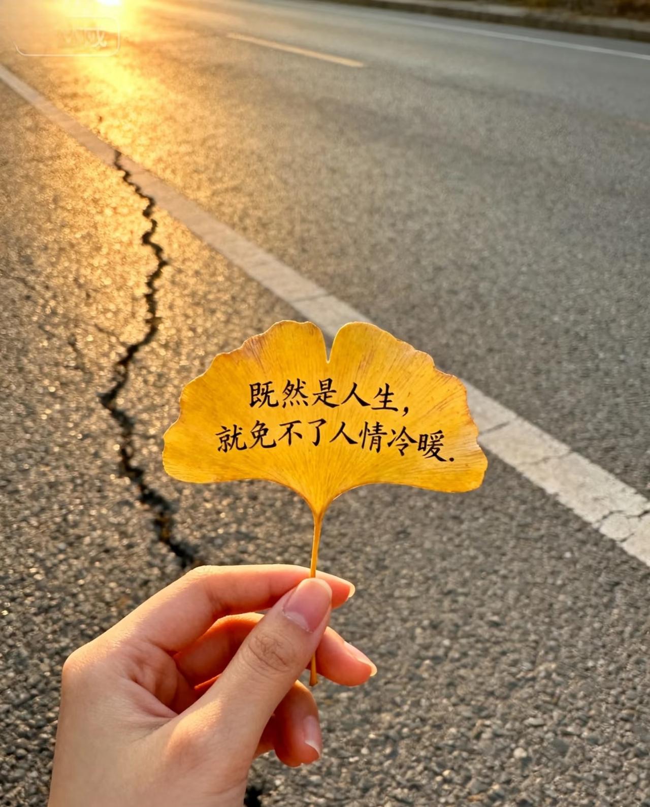 杜强哑了这事儿，圈里人都心知肚明，可谁也不敢摆到台面上笑。这个明明没彻底消失，却