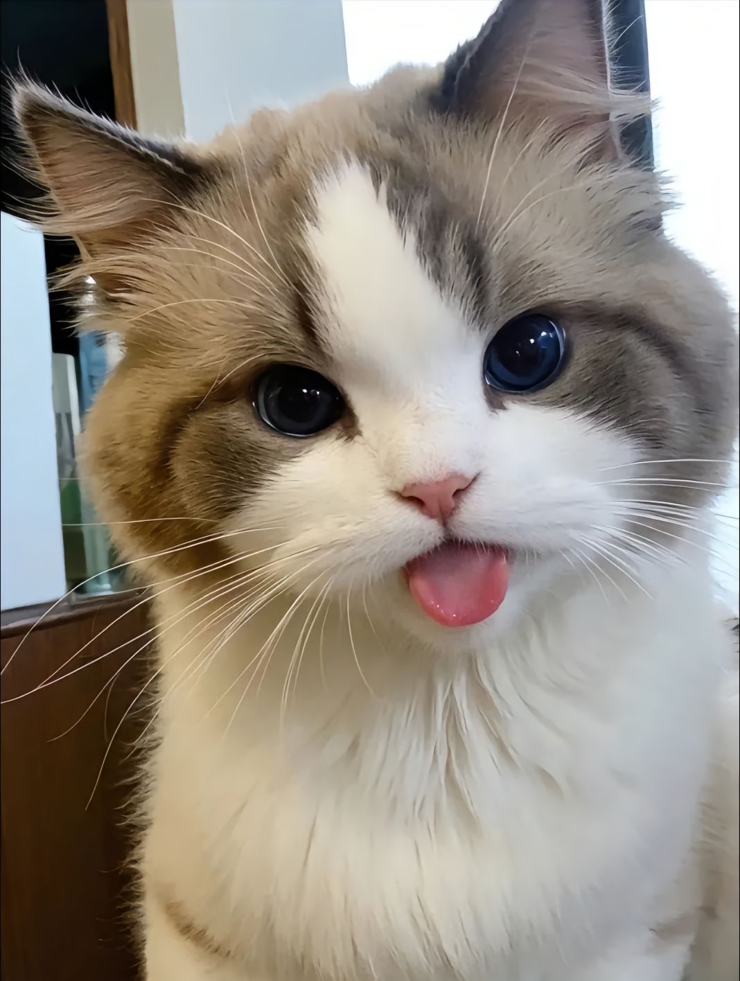 “ee们，你看我可爱吗”