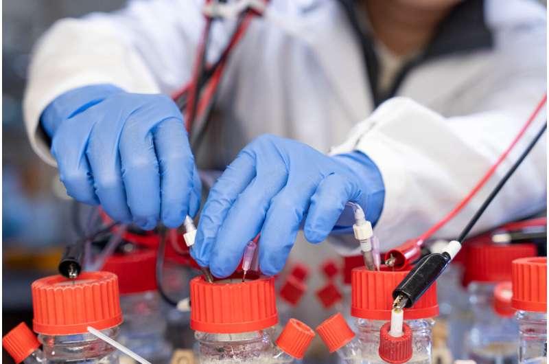 莱斯大学、塔夫茨大学和贝勒医学院合作研发了一种新型生物电传感器系统e-COSEN