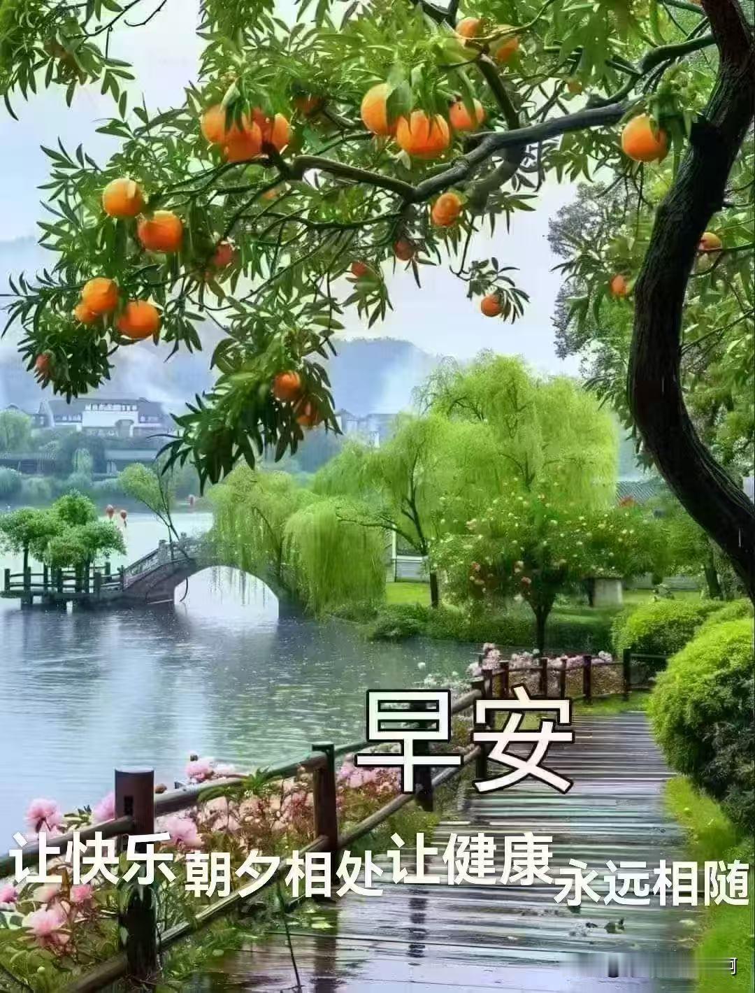 早安🌿
让快乐朝夕相处，让健康永远相随
愿日子清净无忧，岁岁平安顺遂