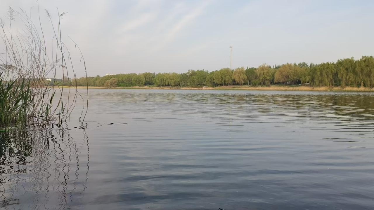 培养一个像样的徒弟
起码要三五年，
并且徒弟要非常聪明和努力才行，
短期培训就是