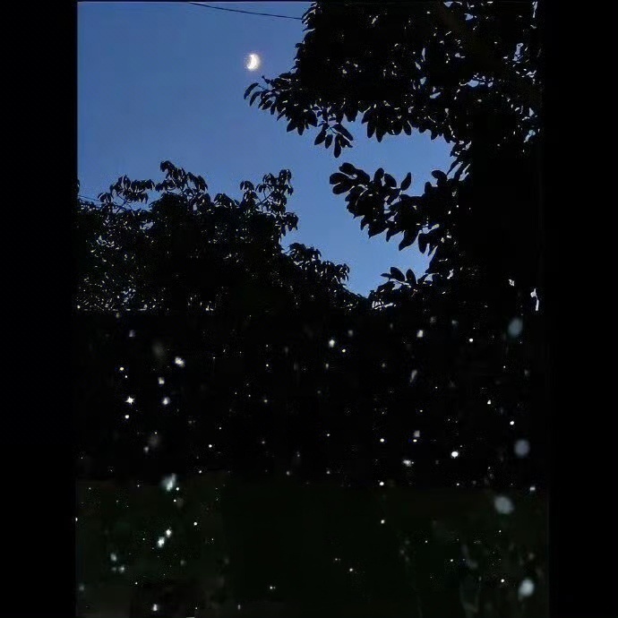 日出又盼，日落有念，所有美好，皆如我所愿。 