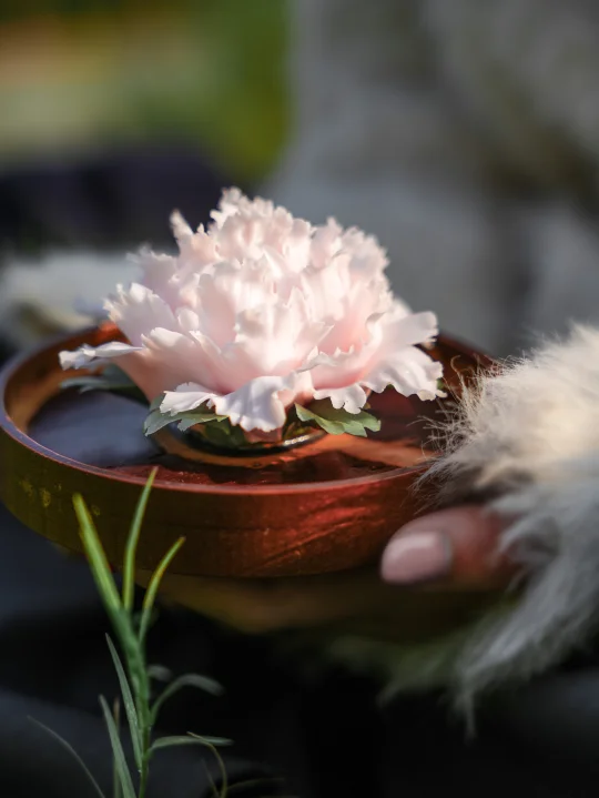 被德化白瓷狠狠惊艳，走心又有品的伴手礼