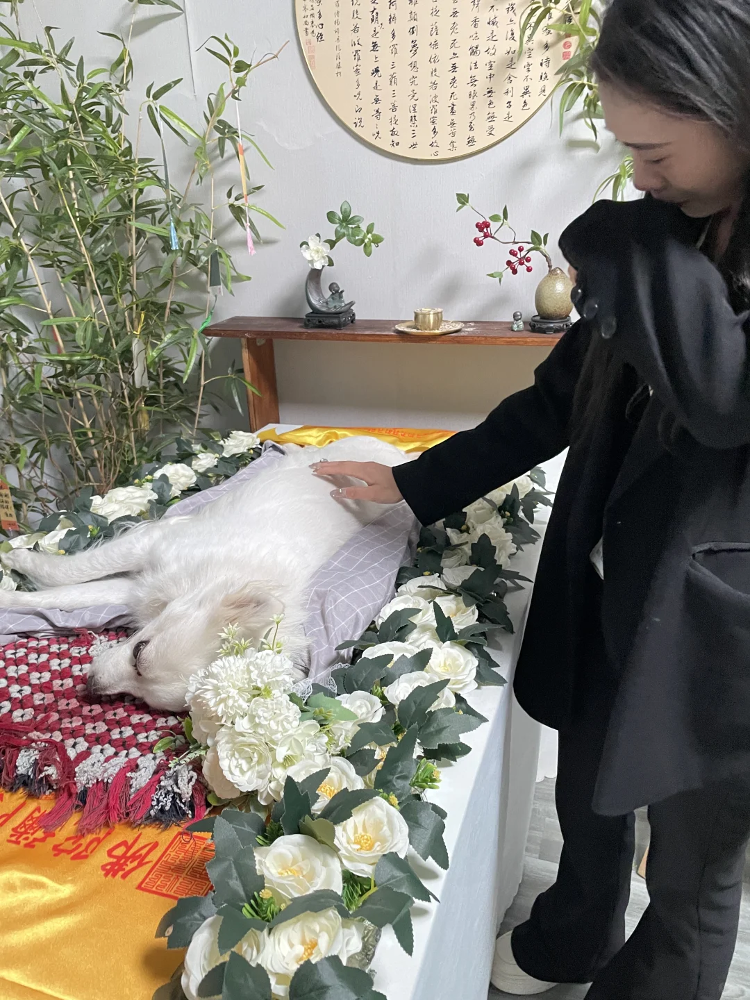 离别是你教我的第二课