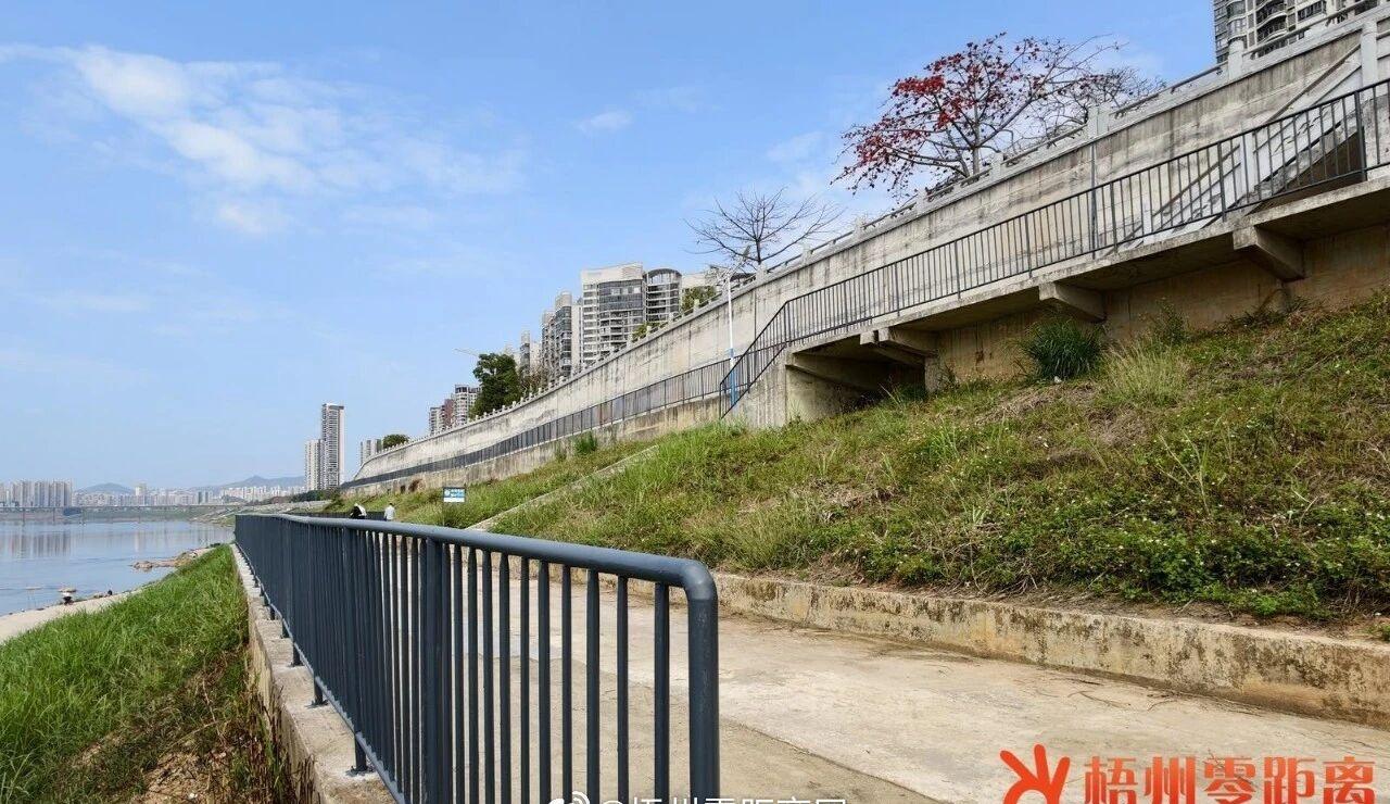 【河西防洪堤部分堤段新装防护栏，市民游客点赞：安全感拉满！】近日，常到河西防洪堤