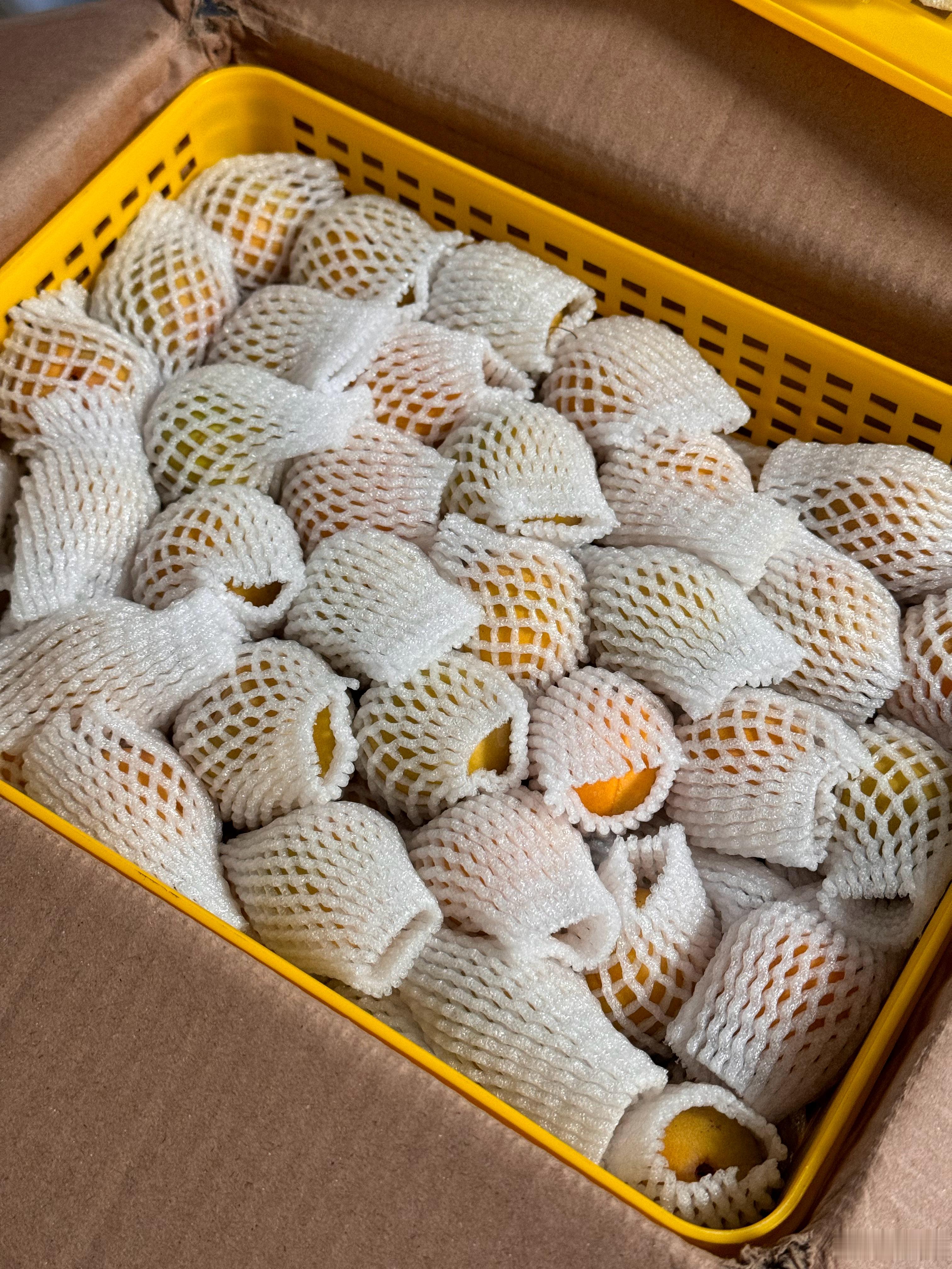 豆芽家的杏子也到了，平常都是超市随便买的300g就一丢丢，四斤竟然这么大一筐有点