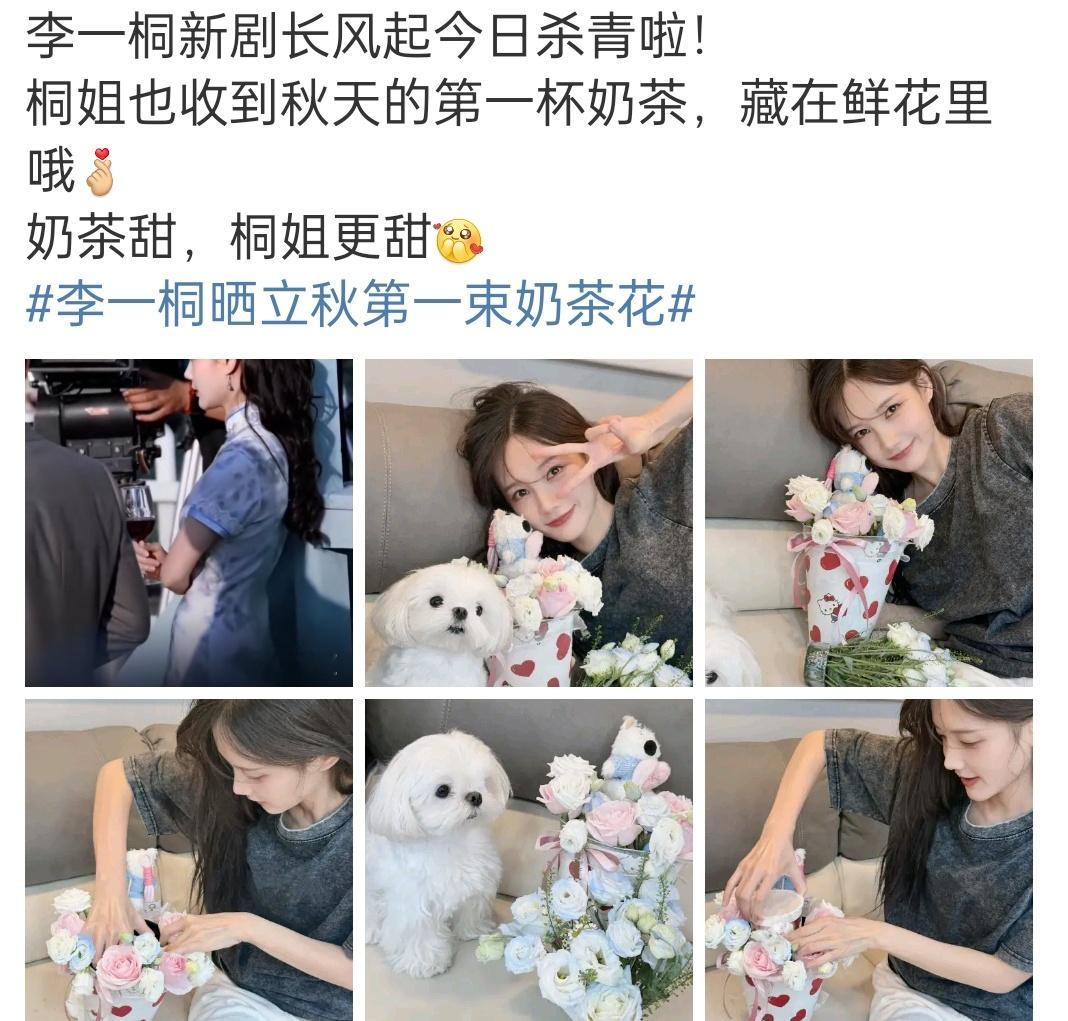 李一桐长风起杀青了？我印象这剧才开机不久，没想到居然也拍了三个多月了 ​​​