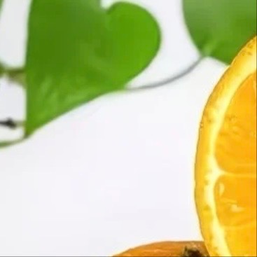 橙子种植：一、土壤要求：橙子对土壤要求较为宽松，但最好选择排水良好、通气性佳的沙