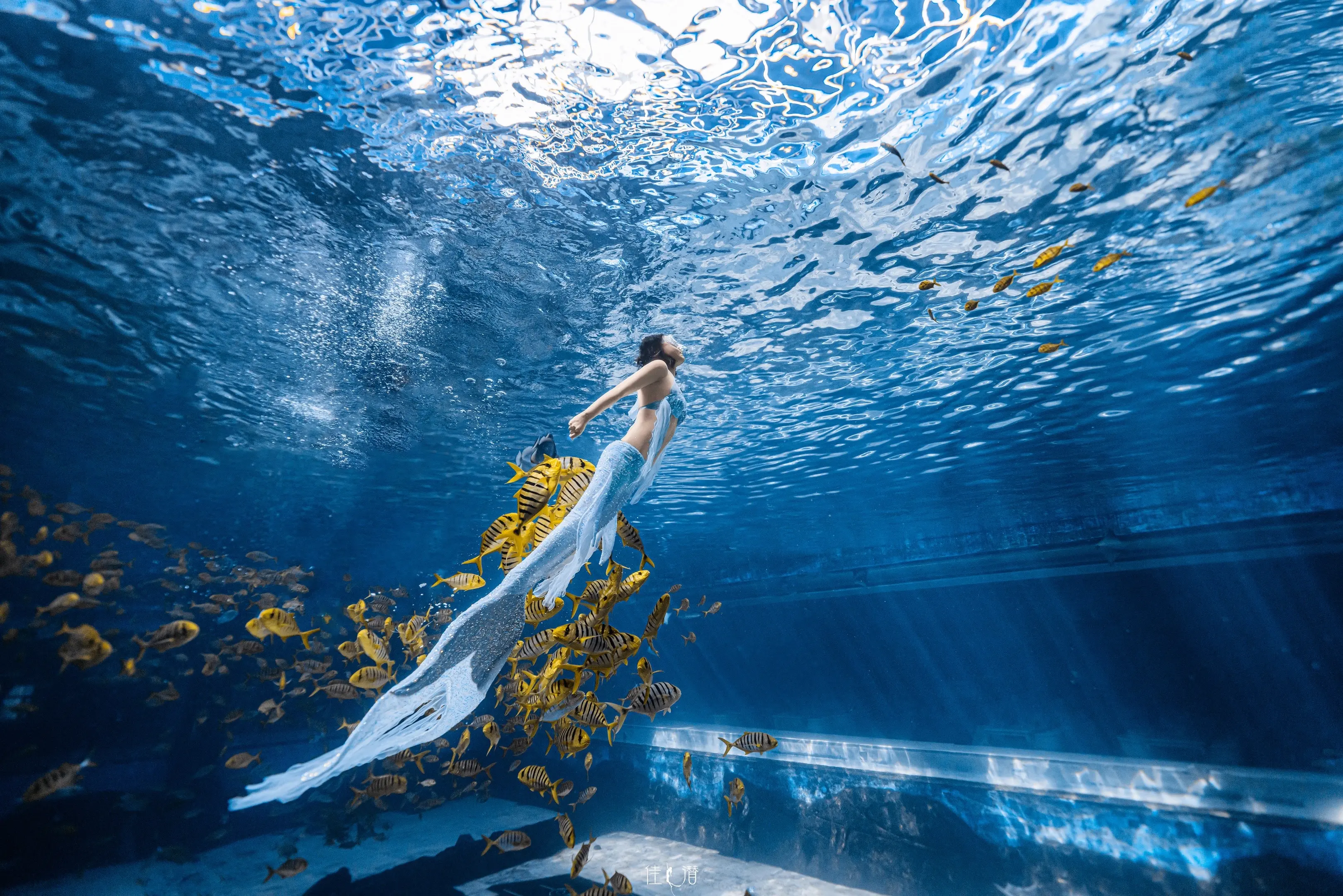 该更新潜水🤿照片了。