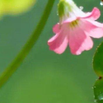 镜头里的世界很精彩，闭上眼的梦也不差，晚安，好好睡觉。 