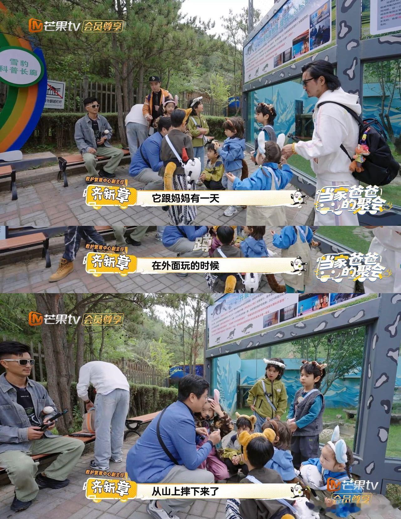 爸爸当家西野特辑《爸爸当家》和西野搞梦幻联动，一边是萌娃的可爱日常，一边是动物园