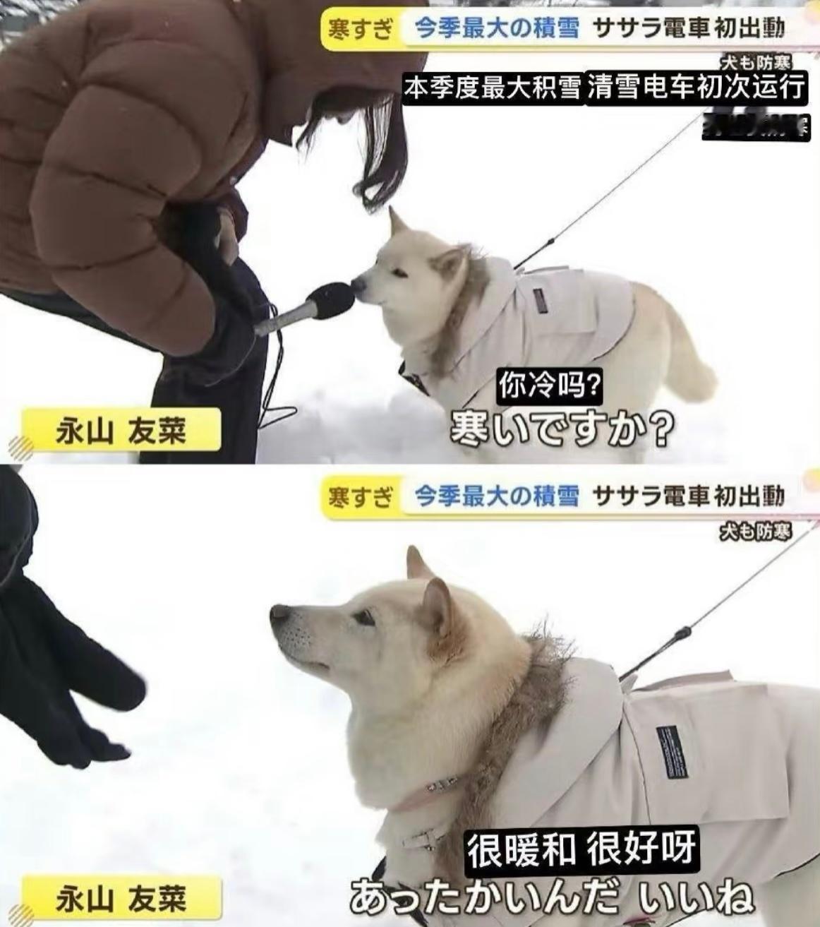 心软软[抱一抱] 