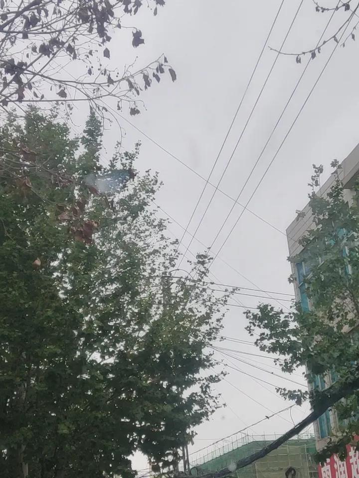 做自己喜欢的事情  爱好的事