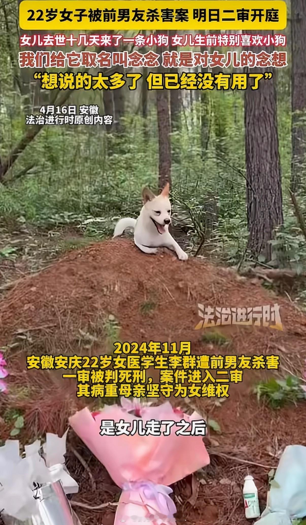 22岁被杀女孩生前爱狗离世后狗上门哎……人类渴求的爱和忠诚，其实就在这毛茸茸的小