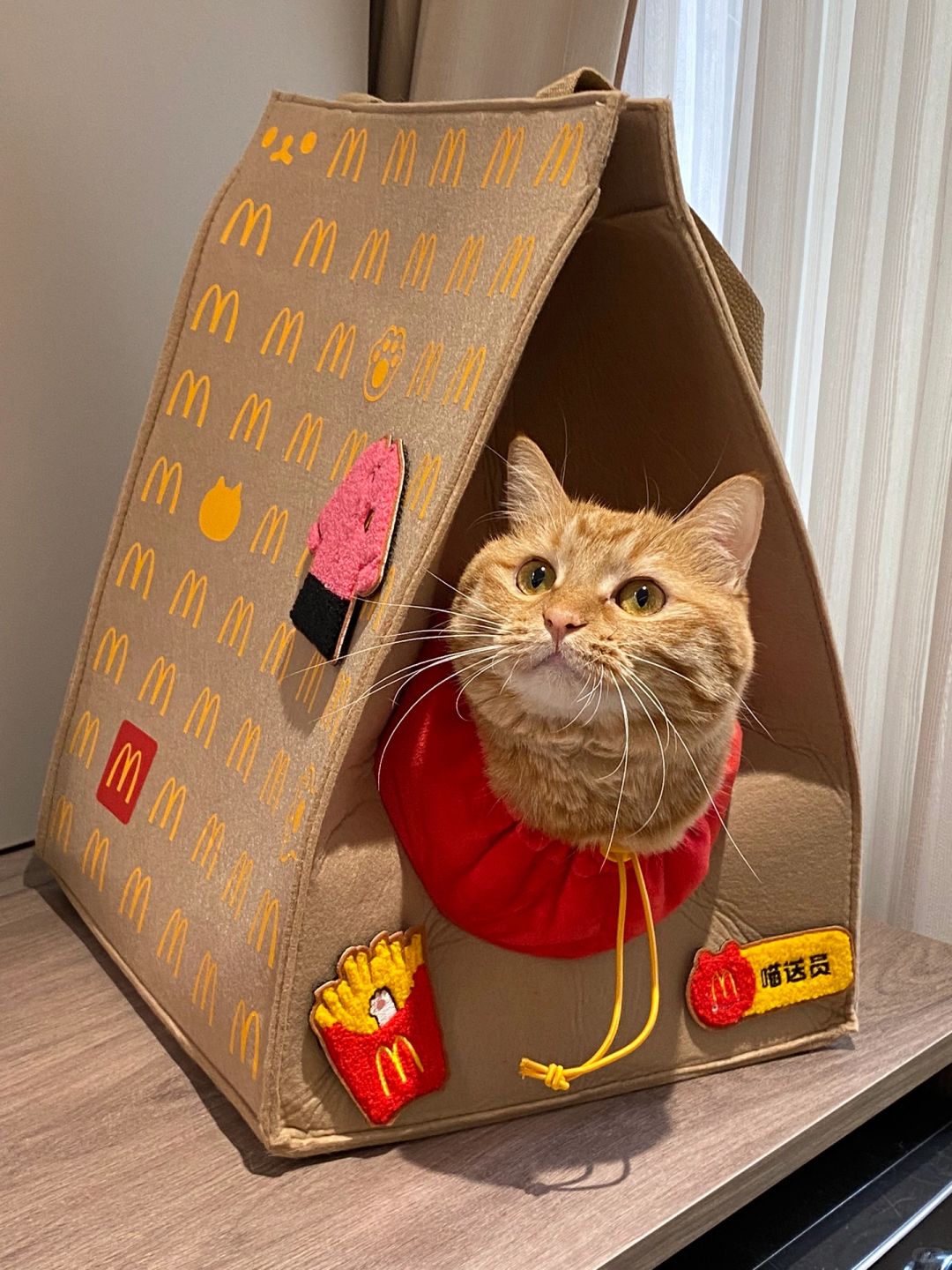 麦当劳新品猫窝到手啦‼️