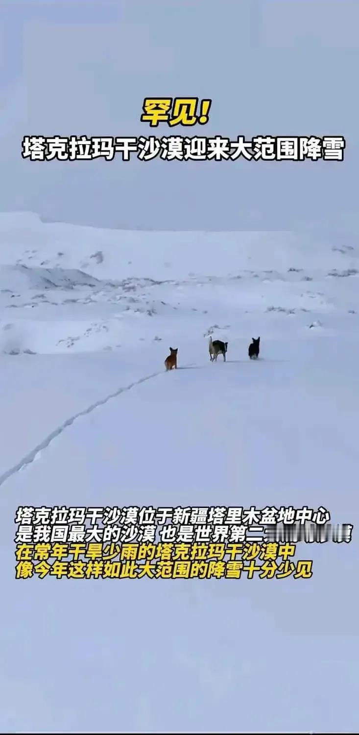 塔克拉玛干沙漠icon迎来范围降雪。
都说国运来了，这话我信。
沙漠降雪，也许是