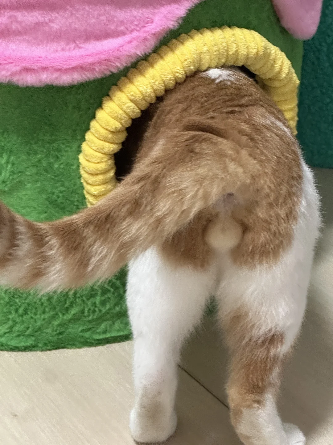 Zeze设计师真的懂