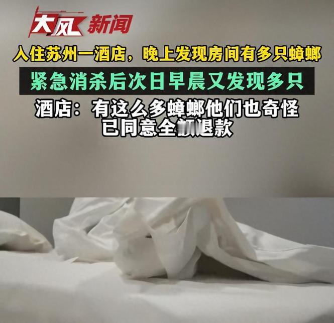 5月4日报道，江苏苏州一名男子携家人出游，花费329元入住当地一家酒店，夜间在床