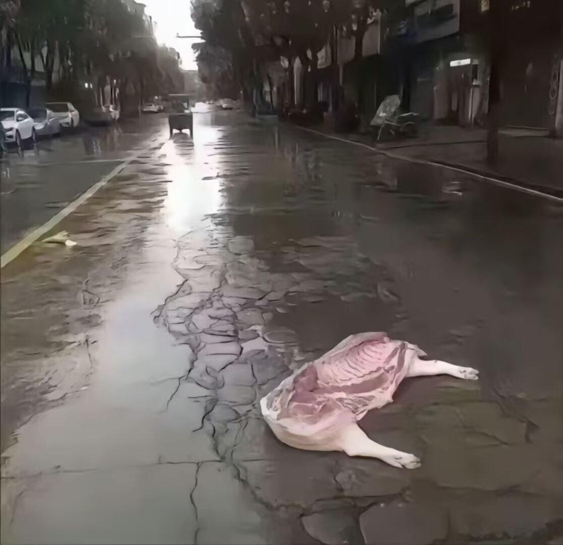 雨天，潮湿，街道，和半个忧郁的我 