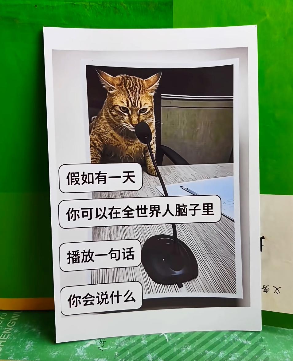 假如有一天，你可以在全世界人脑子里播放一句话，你会说什么？