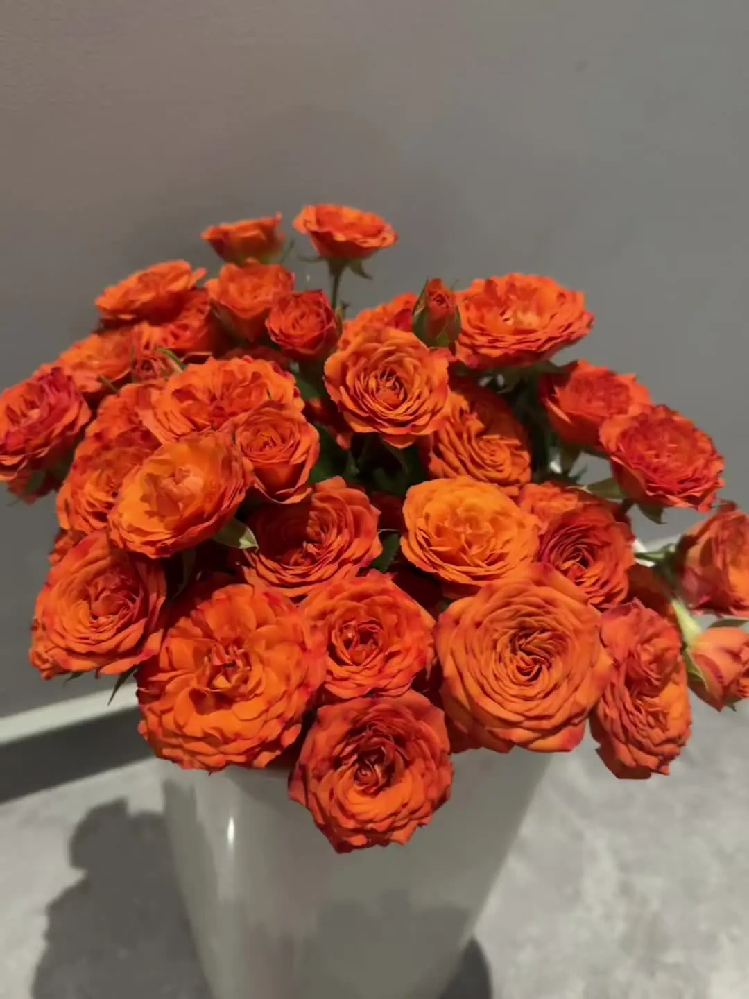 “爱自己是终生浪漫的开始”