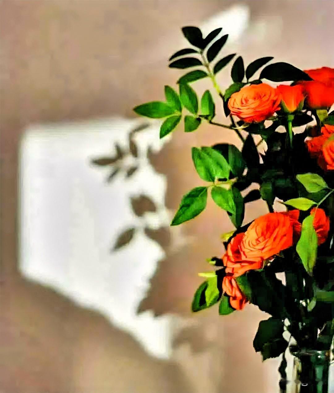 通透，
不是没有杂念，
而是
明白取舍。