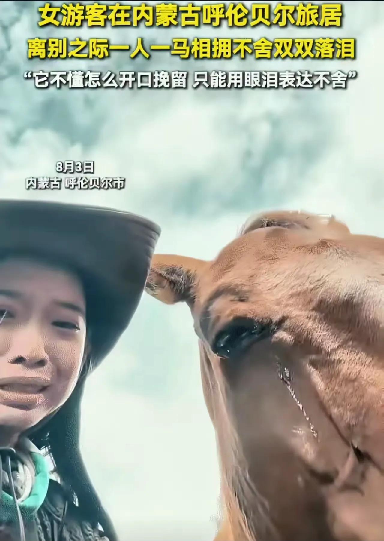 “太有灵性了！”内蒙古呼伦贝尔，女子哭着和一匹马告别。没想到，马也流泪了。她问马