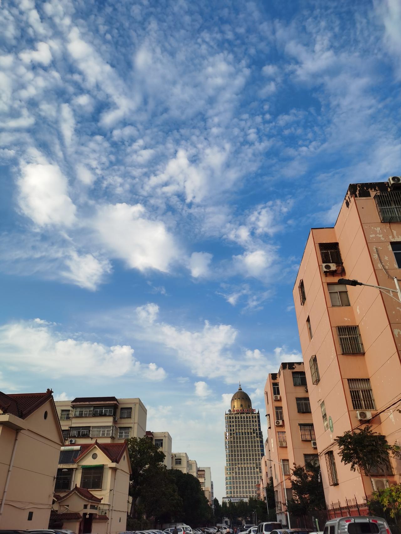 上海现在风水真的很恶心，人普遍肠胃不好，精神病越来越多。金水旺的城市，缺乏土能量