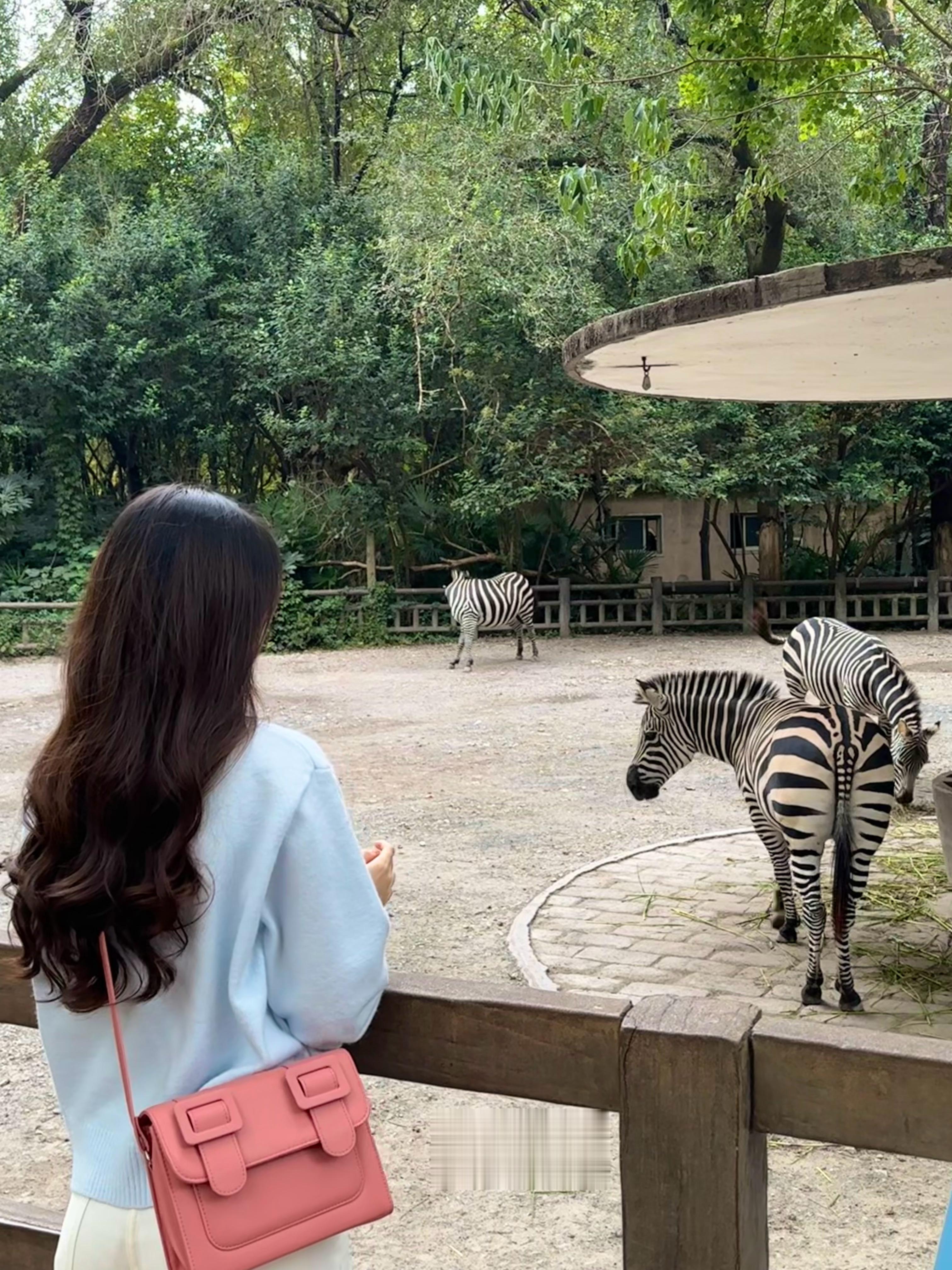 #美美的她# 动物园🐼  ​​​