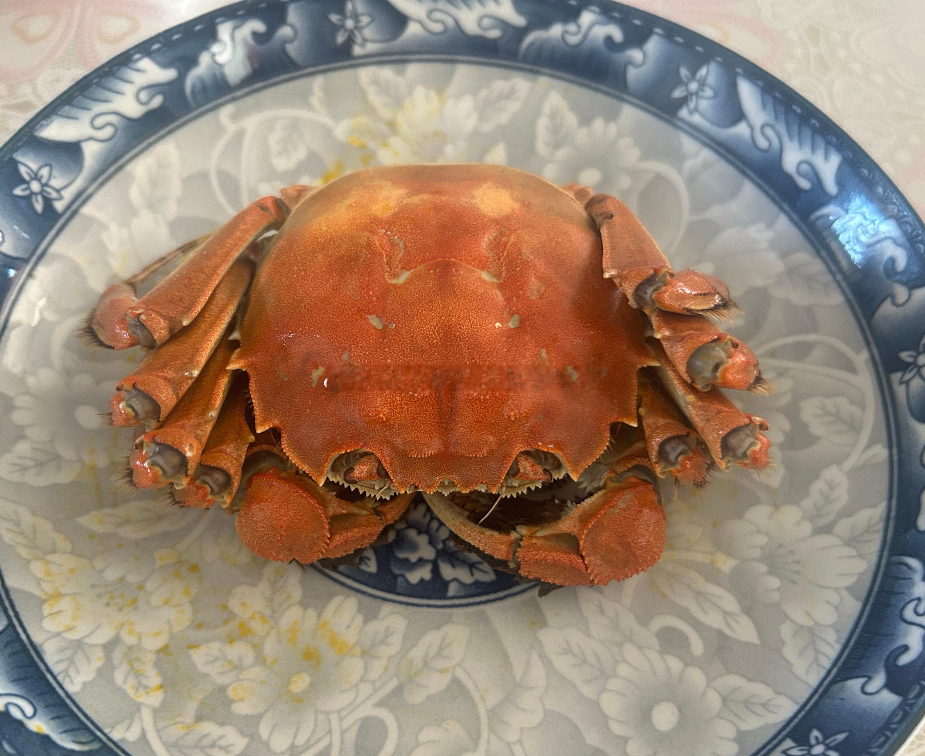 又是一位好多年老蟹友的反馈，母蟹yyds[不愧是你]美食分享 ​​​