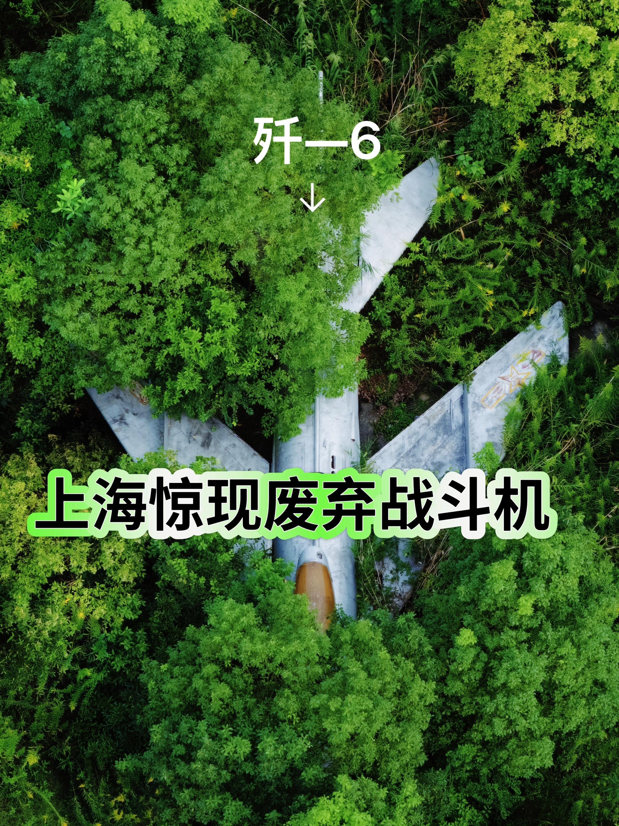 藏在一片小树林里的废弃歼6飞机。    钢铁巨物静静躺在那里，也不知道...