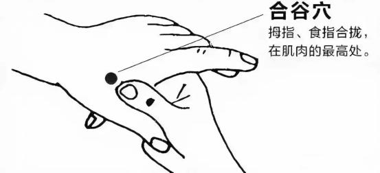 常揉这五个穴位，身体会越来越好
 
1、合谷穴——常揉代谢好
 
2、列缺穴——