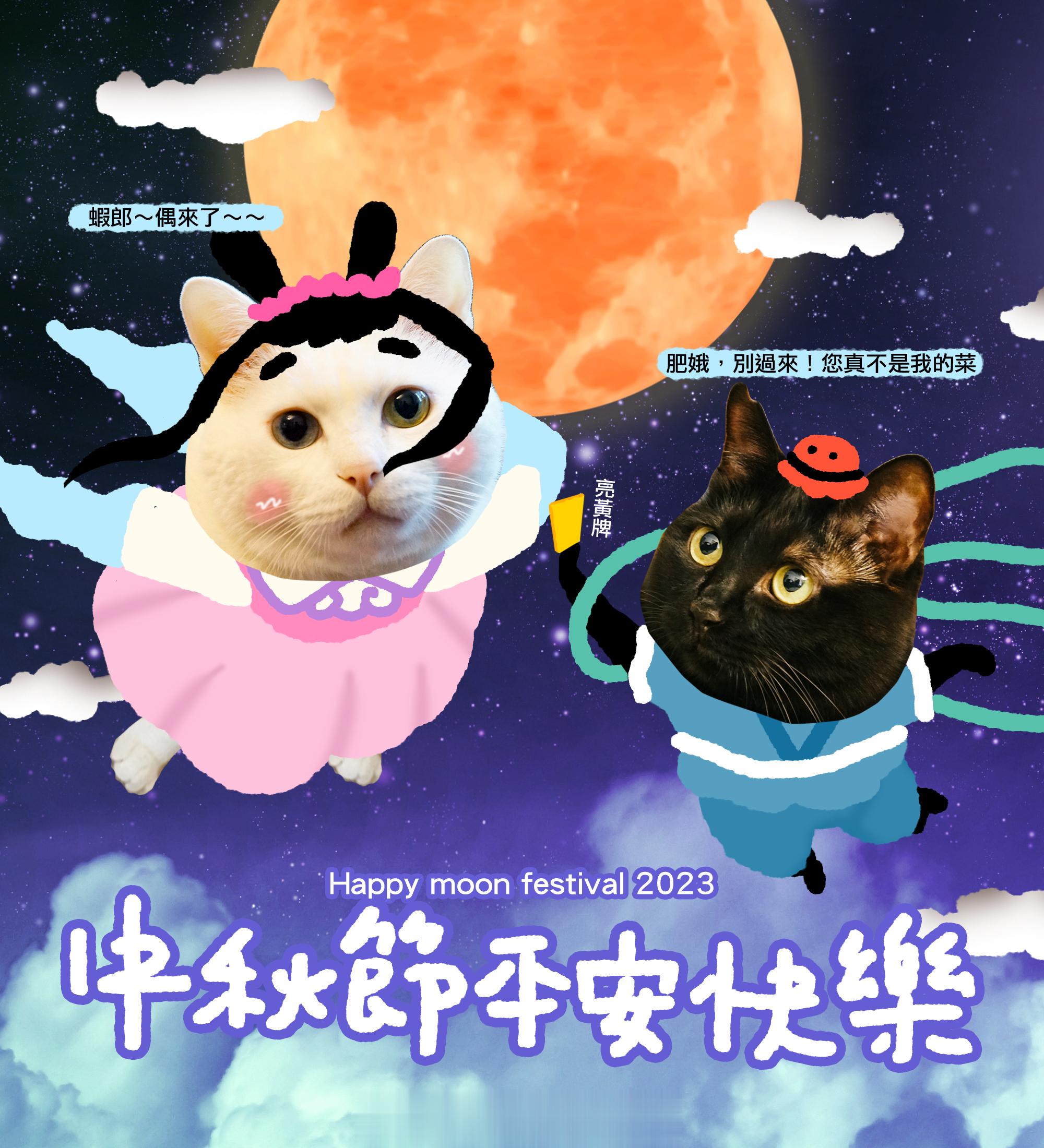 但願人貓汪長久千里共嬋娟喵嗚#中秋節# ​​​
