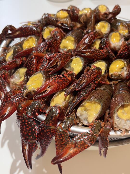 柳州｜冰镇凉拌小龙虾🦞