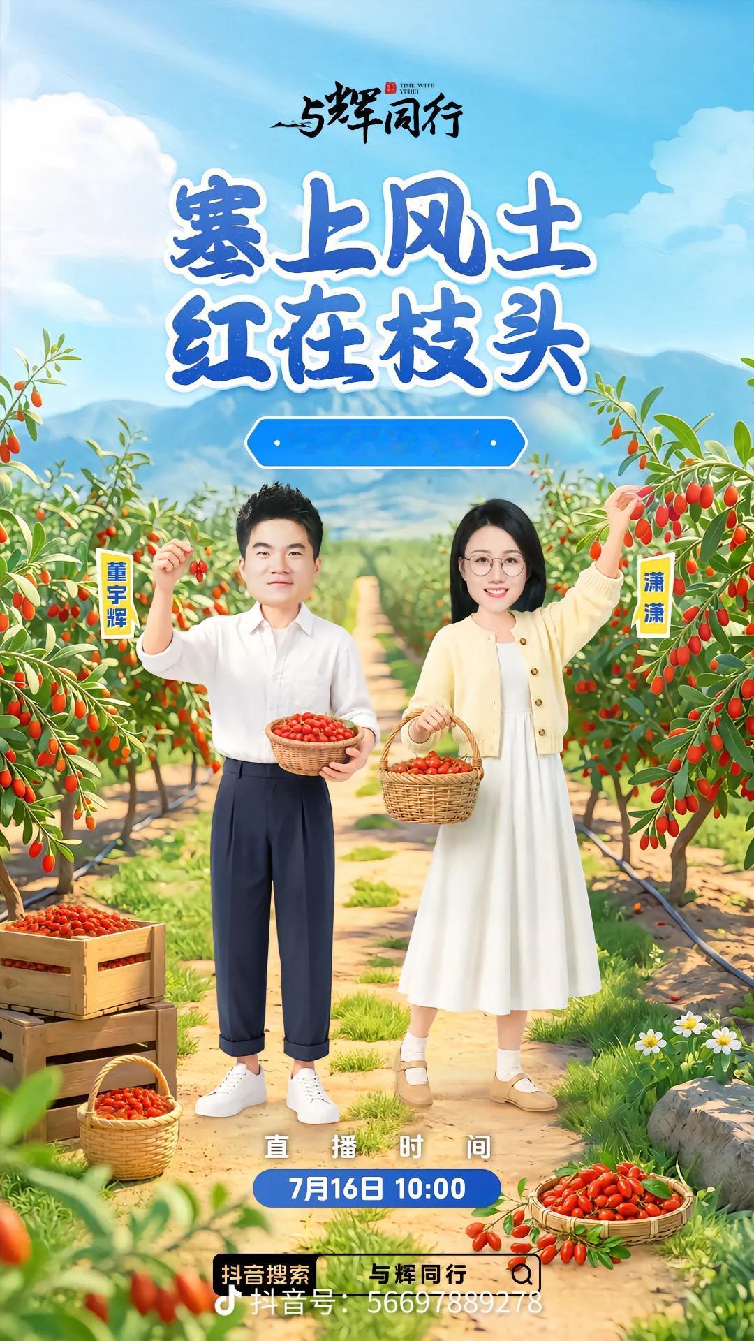 塞上风土，红在枝头。
明天上午十点🕙 宁夏枸杞朔源
与辉同行不见不散！