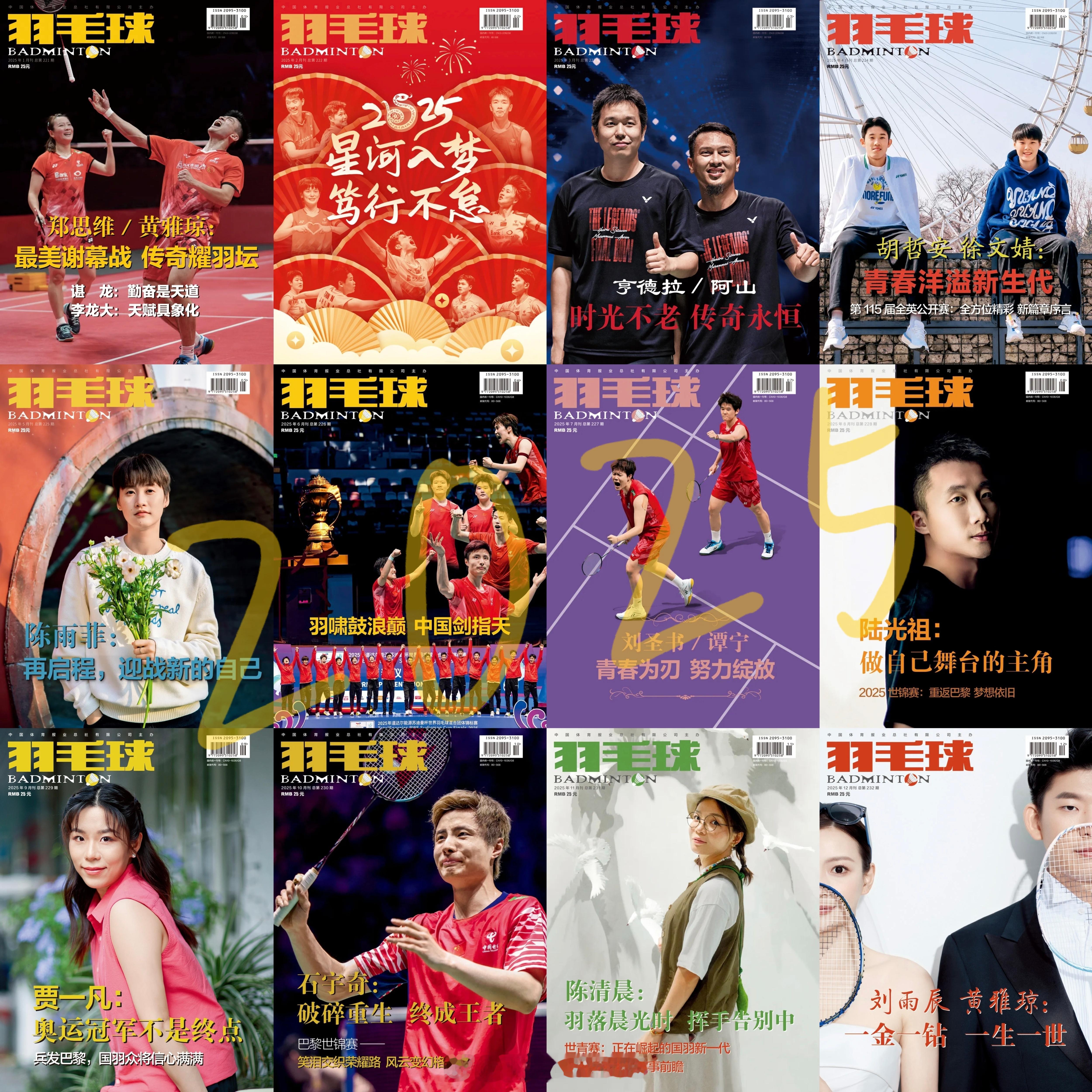 我的2025   十二本，都有！感谢支持  2026，继续向前！一条plog告别