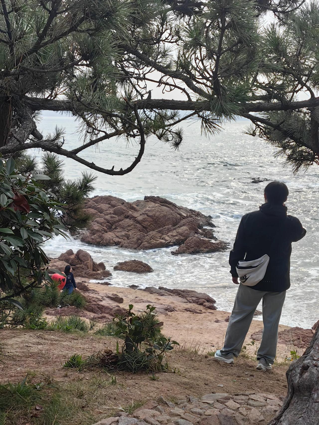 青岛市鲁迅公园风景很美，主要有四个显著的特点：一是紧靠大海，海上风光无限。二是海